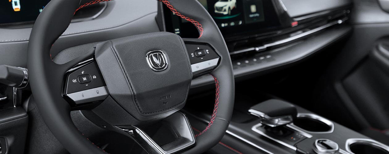 Asistente Conducción Semiautónoma L2