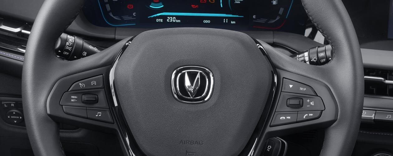 Control Crucero: Libera tu Conducción